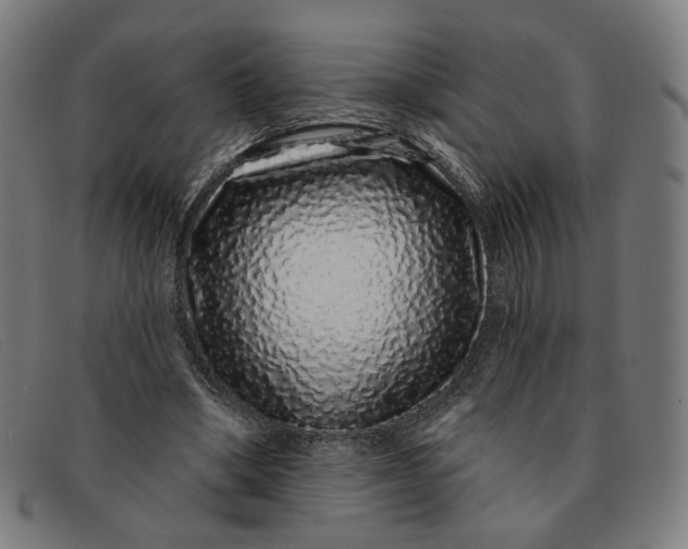 X0000091310394200708311401