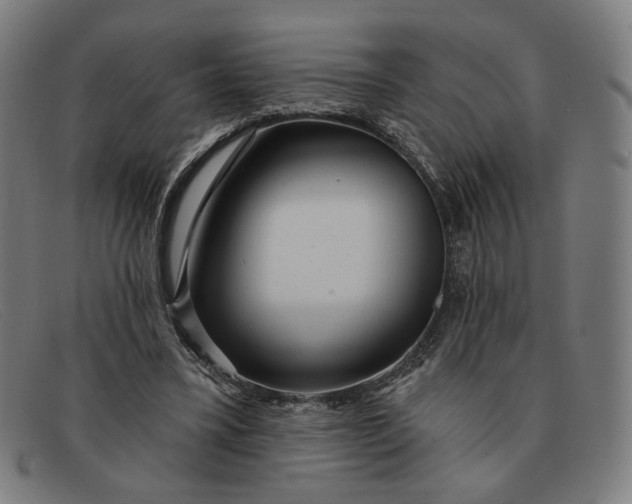 X0000091310395200708311401