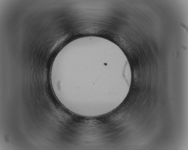 X0000091310396200708311401