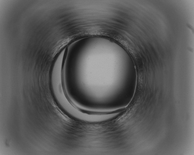 X0000091310397200708311401