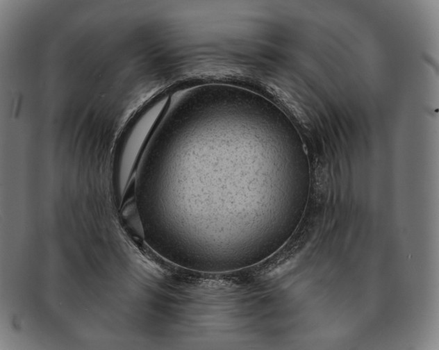 X0000091310399200708311401