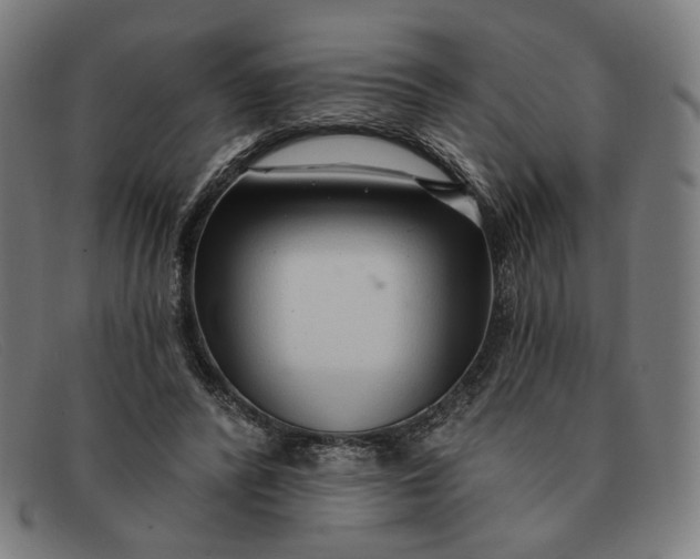 X0000091310400200708311401