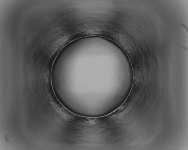 X0000091310402200708311401