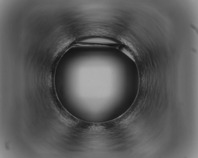 X0000091310403200708311401