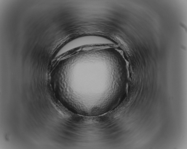 X0000091310405200708311401