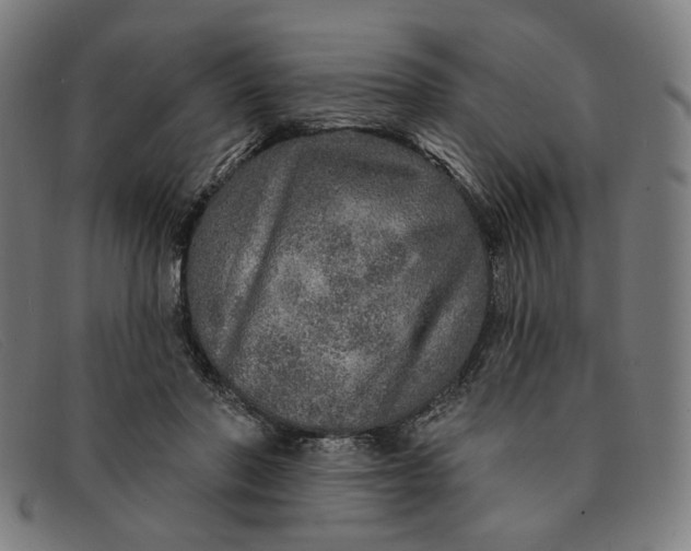 X0000091310406200708311401