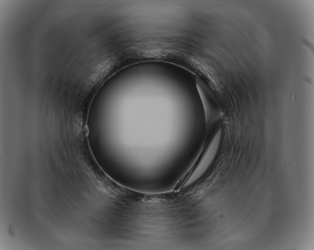 X0000091310407200708311401