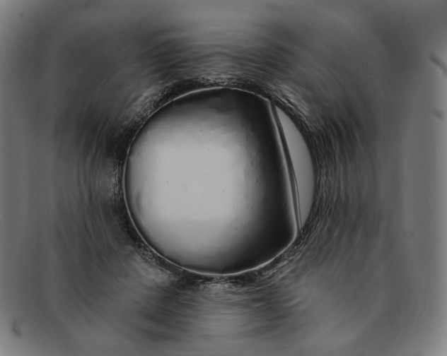 X0000091310408200708311401