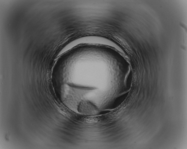 X0000091310409200708311401