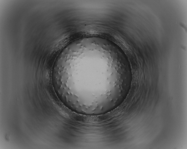 X0000091310410200708311401