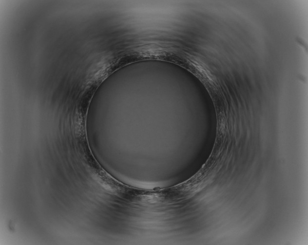 X0000091310411200708311401