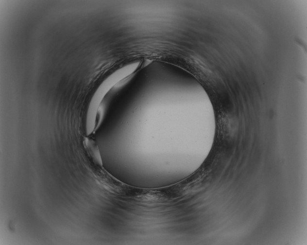 X0000091310412200708311401