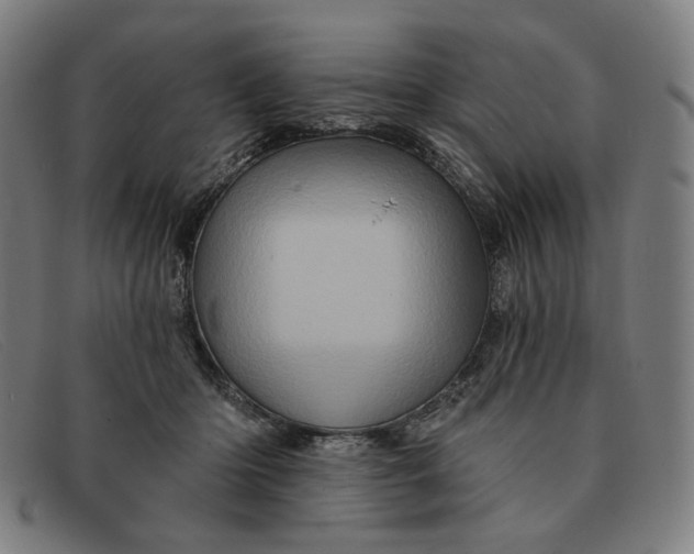 X0000091310414200708311401