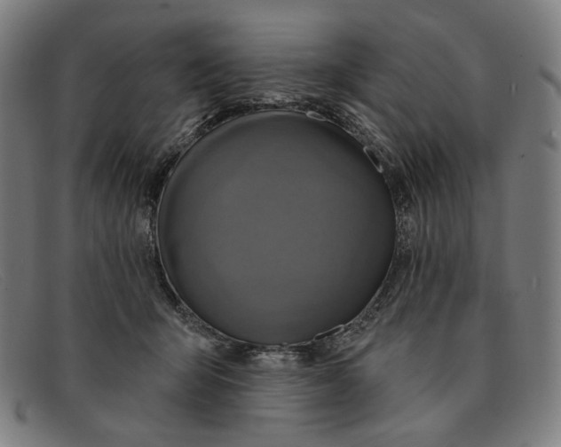 X0000091310415200708311401