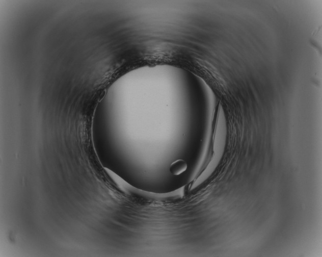 X0000091310416200708311401