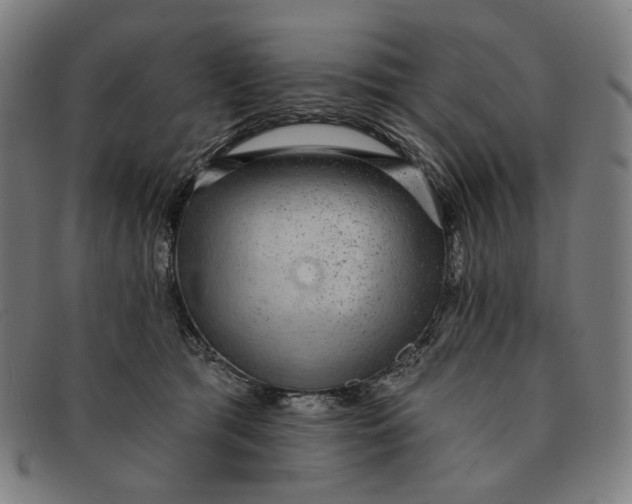 X0000091310417200708311401