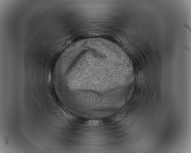 X0000091310418200708311401