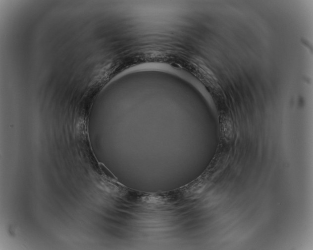 X0000091310419200708311401