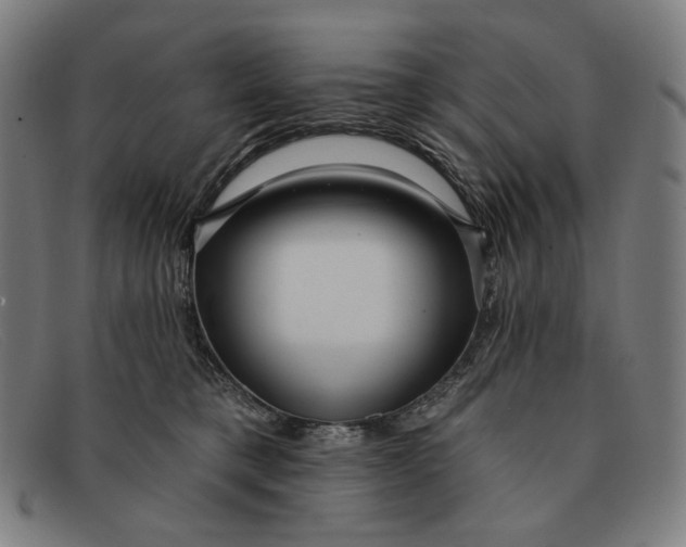 X0000091310421200708311401