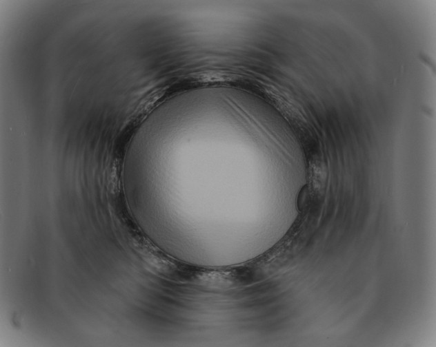 X0000091310422200708311400