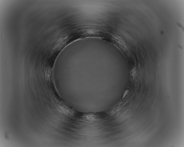 X0000091310423200708311400