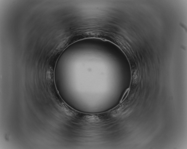 X0000091310424200708311400