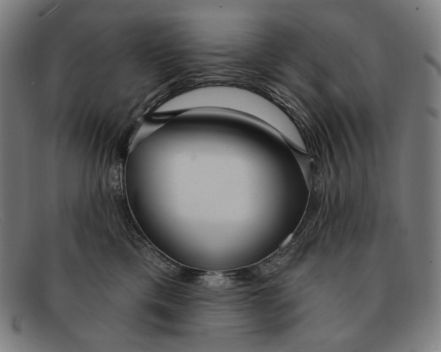 X0000091310425200708311400