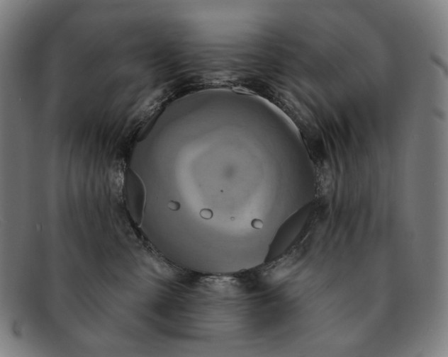 X0000091310427200708311400