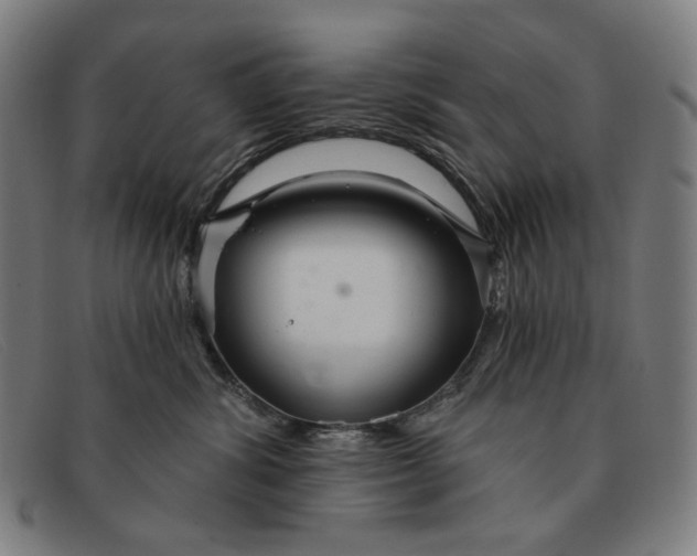 X0000091310428200708311400