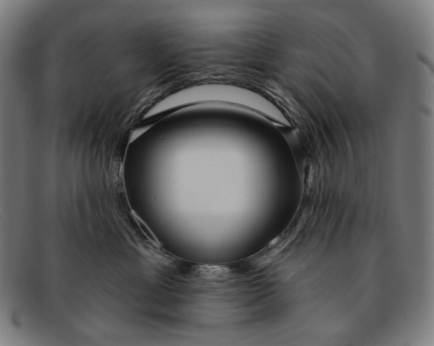 X0000091310429200708311400