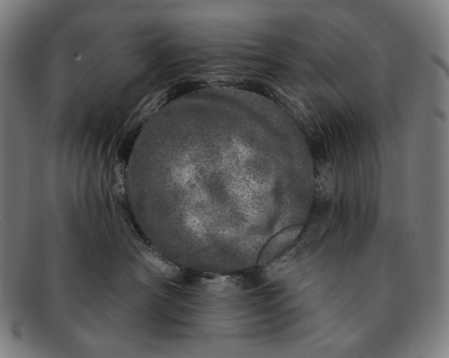 X0000091310430200708311400