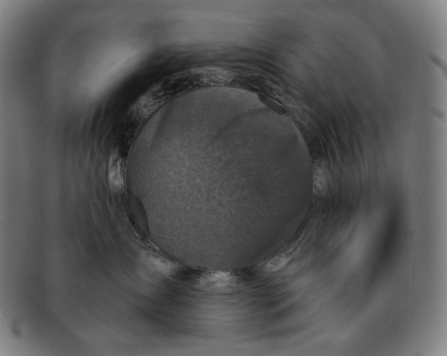 X0000091310431200708311400