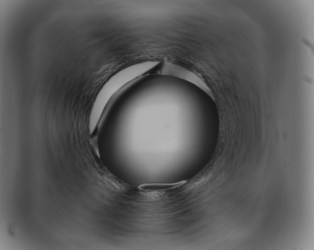 X0000091310432200708311400