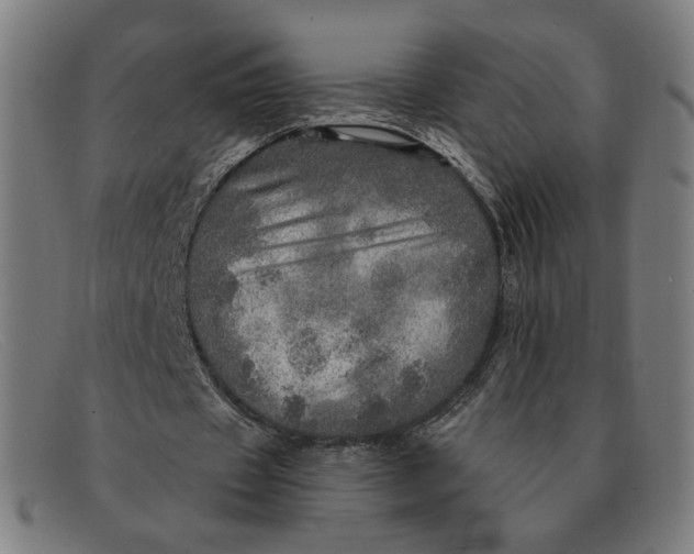 X0000091310433200708311400