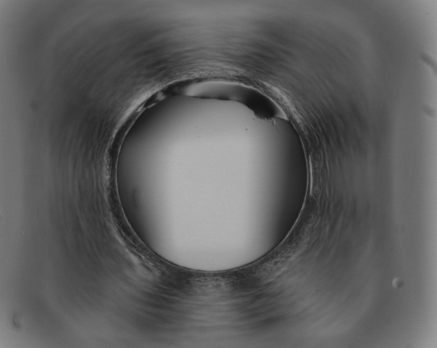 X0000091310435200708311400