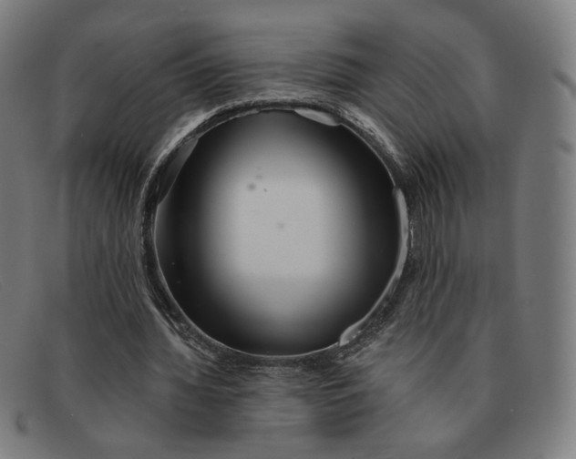 X0000091310436200708311400