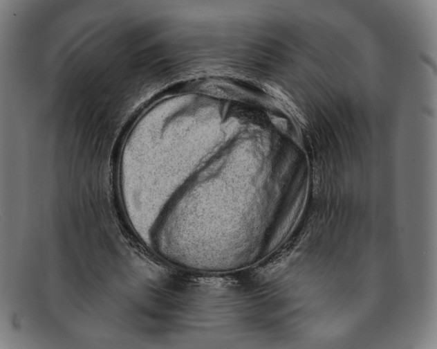 X0000091310439200708311400