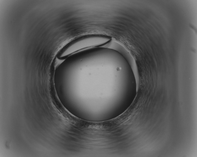 X0000091310440200708311400