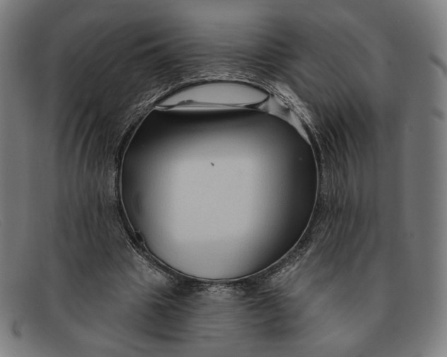 X0000091310441200708311400