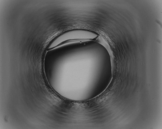 X0000091310442200708311400