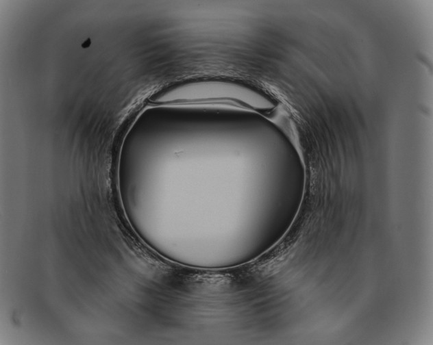 X0000091310443200708311400