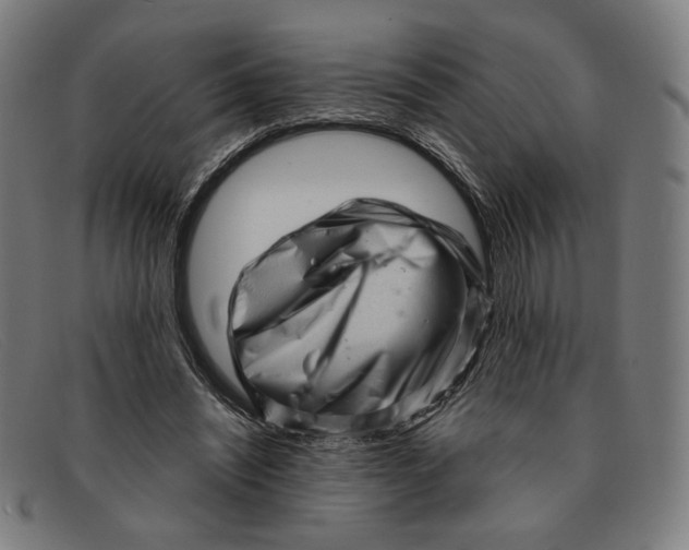 X0000091310444200708311400