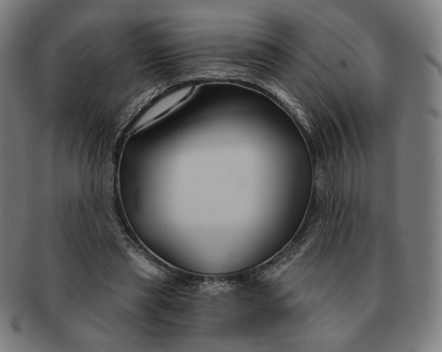 X0000091310445200708311400