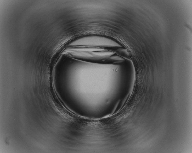 X0000091310446200708311400