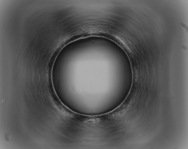 X0000091310447200708311400