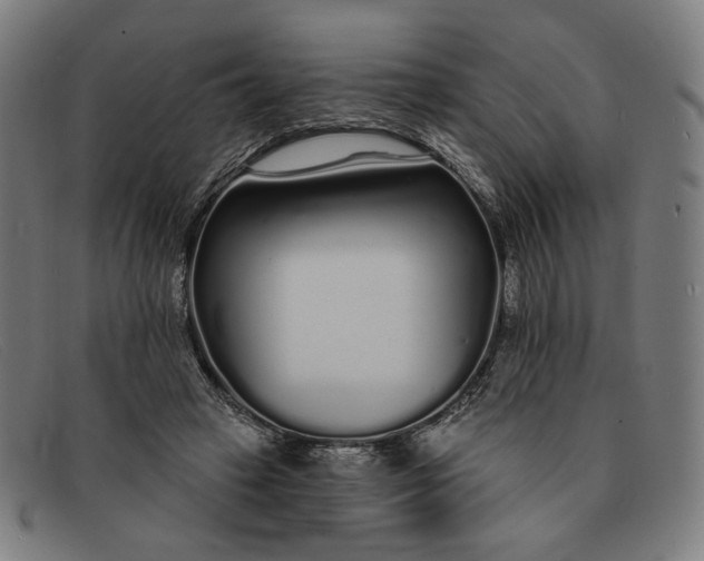 X0000091310449200708311400