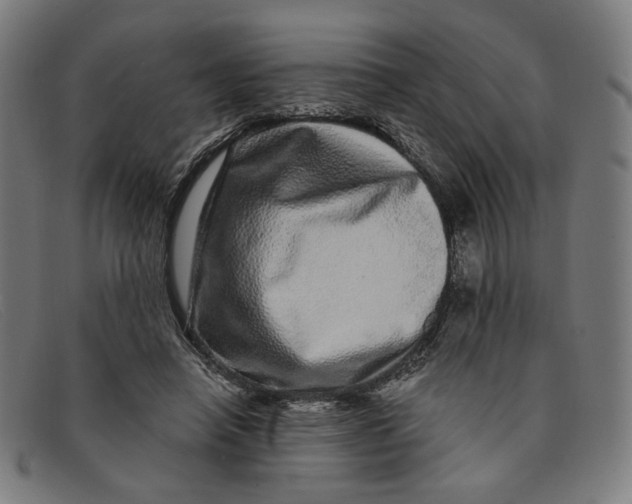 X0000091310450200708311400