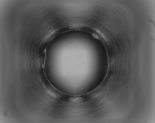 X0000091310452200708311400