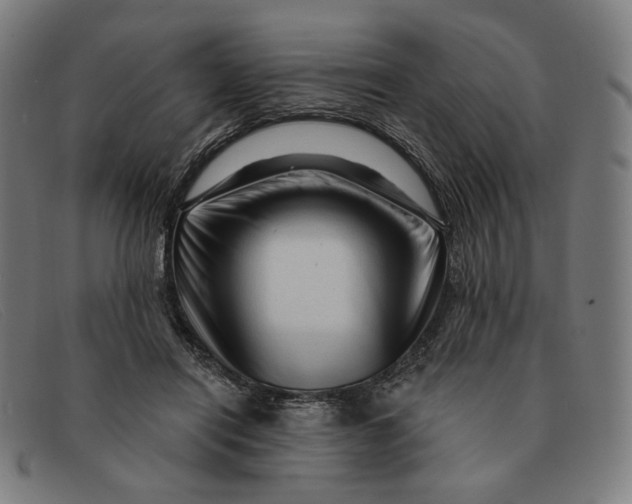 X0000091310454200708311400