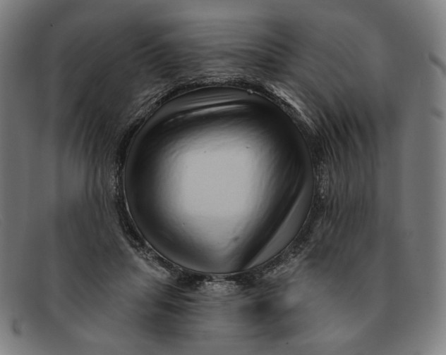 X0000091310455200708311400